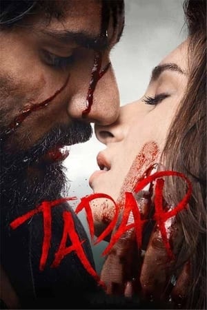 Tadap (2021) Hindi Movie Web-DL – 480p