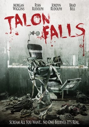 Talon Falls (2017) Hindi Dual Audio BluRay 300MB