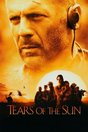 Tears of the Sun 2003 Hindi Dual Audio BluRay 360MB