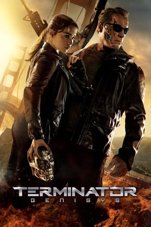 Terminator Genisys (2015) Hindi Dual Audio BluRay 380MB