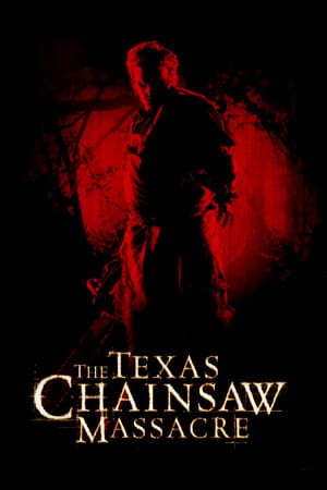 Texas Chainsaw Massacre 2013 Hindi Dual Audio Web-DL 300MB