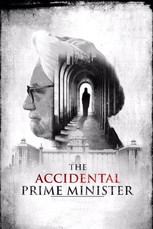 The Accidental Prime Minister (2019) Hindi Movie HDRip x264 [1GB]
