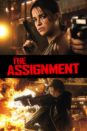The Assignment (2016) Hindi Dual Audio BluRay 300MB