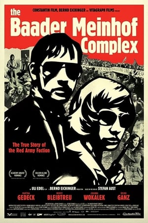 The Baader Meinhof Complex (2008) Hindi Dual Audio HDRip [1.2GB]
