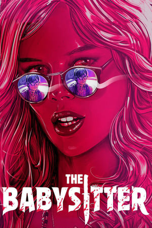 The Babysitter (2017) Hindi Dual Audio WebRip 300MB