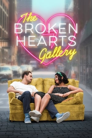 The Broken Hearts Gallery (2020) Hindi Dual Audio Web-DL 340MB