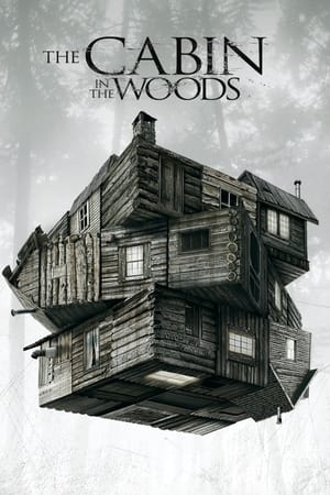 The Cabin in the Woods 2012 Dual Audio Hindi BluRay 300MB ESubs