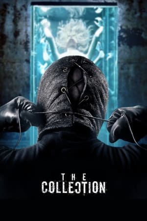 The Collection (2012) Hindi Dual Audio BluRay 300MB