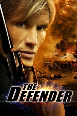 The Defender (2004) Hindi Dual Audio BluRay [1.2GB]