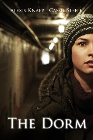 The Dorm 2014 Hindi Dual Audio WebRip 250MB