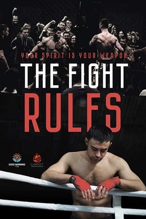 The Fight Rules 2017 Hindi Dual Audio WebRip 260MB