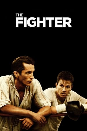 The Fighter (2010) Hindi Dual Audio BluRay 360MB