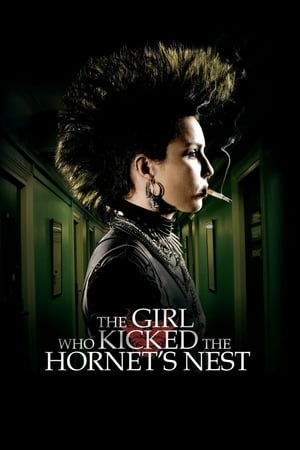 The Girl Who Kicked the Hornet's Nest (2009) Hindi Dual Audio BluRay 450MB