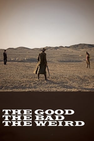 The Good the Bad the Weird 2008 Hindi Dubbed HDRip – 480p