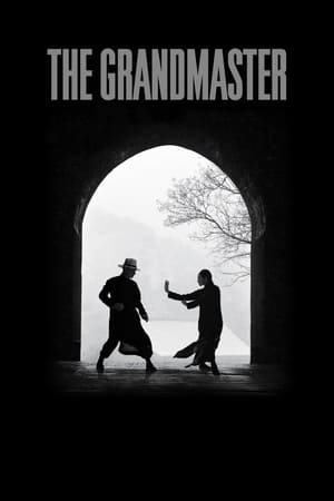 The Grandmaster (2013) Hindi Dual Audio BluRay [1GB] ESubs