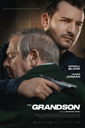 The Grandson 2022 Hindi Dual Audio HDRip – 480p