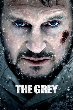 The Grey 2011 Hindi Dual Audio BluRay 360MB