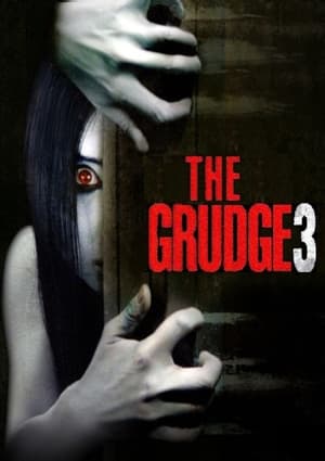 The Grudge 3 2009 Hindi Dual Audio Web-DL 300MB