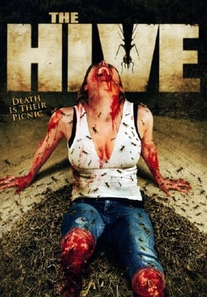 The Hive 2008 Hindi Dual Audio HDRip 300MB