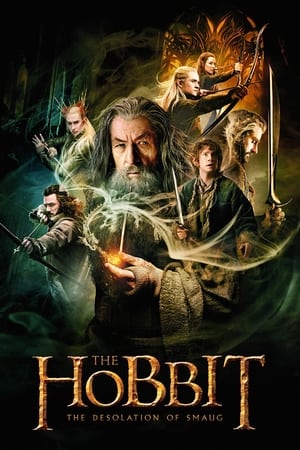 The Hobbit: The Desolation of Smaug (2013) Hindi Dubbed BluRay [1.9GB] Download