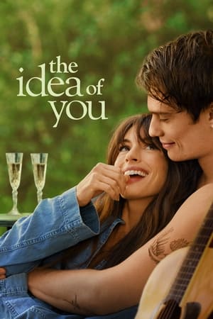 The Idea of You 2024 Hindi Dual Audio HDRip – 720p – 480p