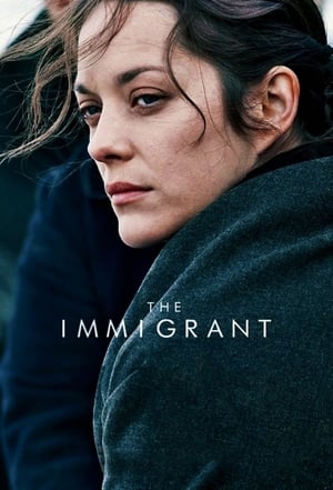The Immigrant (2013) Hindi Dual Audio BluRay 300MB