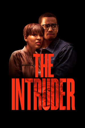 The Intruder (2019) Hindi Dual Audio HDRip 350MB