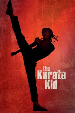 The Karate Kid 2010 Hindi Dubbed Bluray 1GB Movie