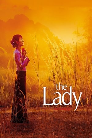 The Lady 2011 Dual Audio Hindi Bluray 400MB