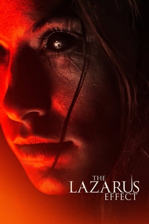 The Lazarus Effect (2015) Hindi Dual Audio BluRay 300MB