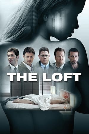 The Loft 2014 Hindi Dubbed HDRip [990MB]