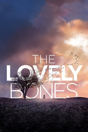 The Lovely Bones (2009) Hindi Dual Audio BluRay 430MB