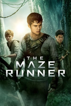 The Maze Runner (2014) Hindi Dual Audio BluRay [1.1GB]