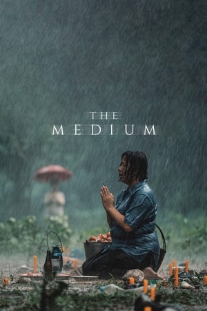 The Medium (2021) Hindi Dual Audio HDRip – 480p