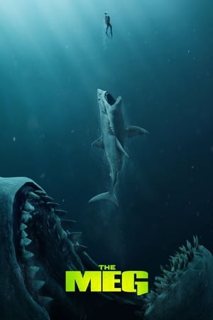 The Meg (2018) Hindi (Org) Dual Audio BluRay 350MB