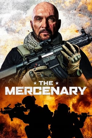 The Mercenary (2019) Hindi Dual Audio BluRay [900MB]