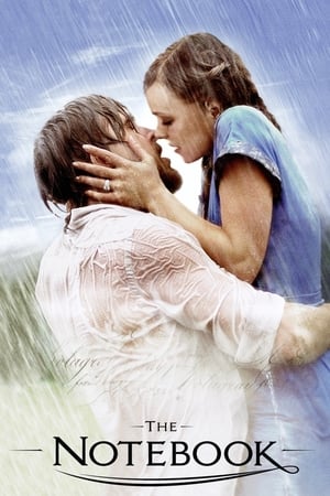 The Notebook 2004 Dual Audio Hindi Full Movie BRRip - 1GB