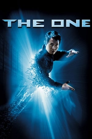 The One (2001) Hindi Dual Audio BluRay [750MB]