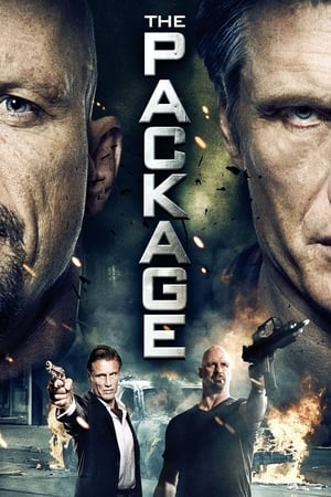 The Package (2013) Hindi Dual Audio HDRip [750MB]