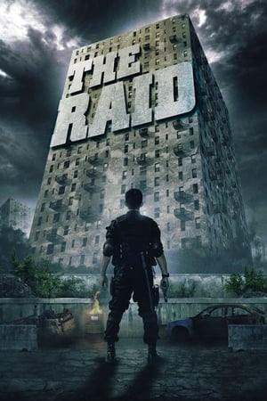 The Raid: Redemption (2011) Hindi Dual Audio BluRay 300MB ESubs