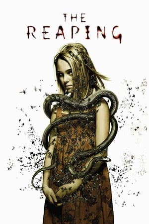 The Reaping (2007) Hindi Dual Audio BluRay [700MB]