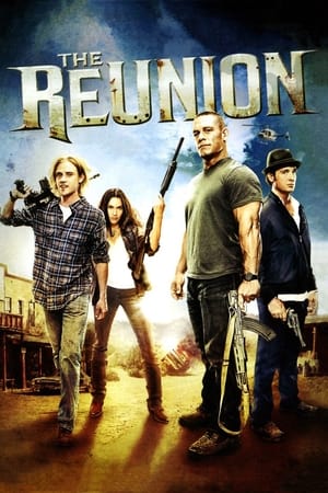 The Reunion (2011) Hindi Dual Audio HDRip 300MB