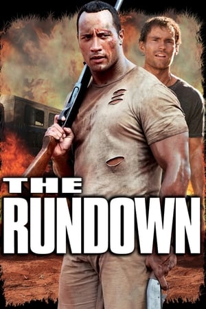 The Rundown (2003) Hindi Dual Audio BluRay 330MB