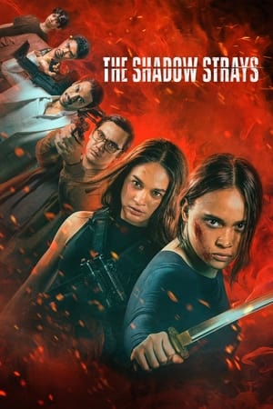 The Shadow Strays 2024 Hindi Dual Audio HDRip – 720p – 480p