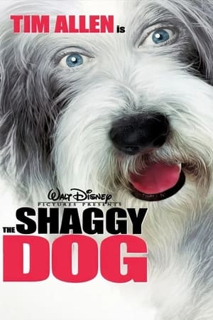 The Shaggy Dog (2006) Hindi Dual Audio BluRay 300MB