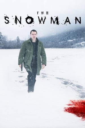 The Snowman (2017) Hindi Dual Audio BluRay [1.1GB]