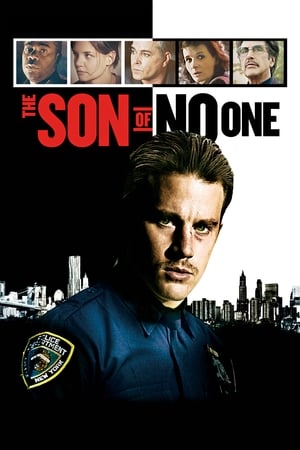 The Son of No One (2011) Hindi Dual Audio BluRay [900MB]