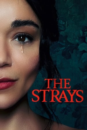 The Strays 2023 Hindi Dual Audio HDRip – 480p