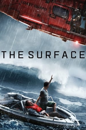 The Surface (2014) Hindi Dual Audio Web-DL 300MB