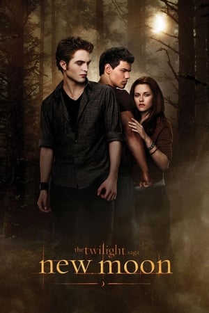 The Twilight Saga New Moon (2009) Hindi Dual Audio Bluray [1.0GB] Download